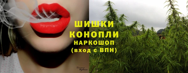 шишки Горнозаводск