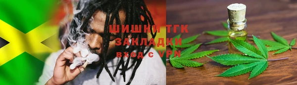 шишки Горнозаводск