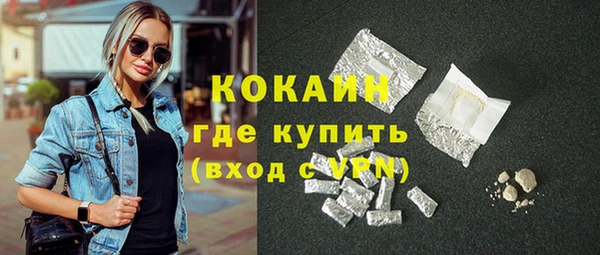 шишки Горнозаводск