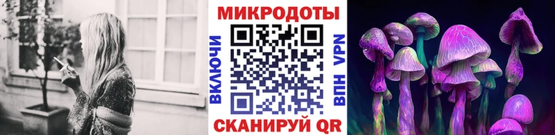 Купить закладки Киренск Псилоцибиновые грибы прущие грибы